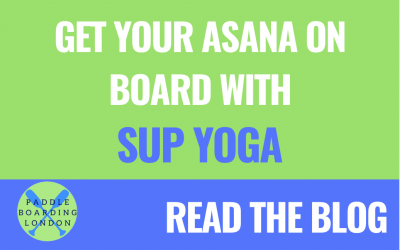 SUP YOGA: Get Your Asana on Board